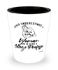 College Professor Shotglass Never Underestimate A Woman Who Is Also A College Professor Shot Glass