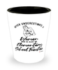 Elementary School Teacher Shotglass Never Underestimate A Woman Who Is Also An Elementary School Teacher Shot Glass