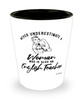 English Teacher Shotglass Never Underestimate A Woman Who Is Also An English Teacher Shot Glass