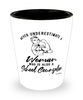 School Counselor Shotglass Never Underestimate A Woman Who Is Also A School Counselor Shot Glass