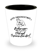 School Superintendent Shotglass Never Underestimate A Woman Who Is Also A School Superintendent Shot Glass