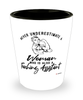 Teaching Assistant Shotglass Never Underestimate A Woman Who Is Also A Teaching Assistant Shot Glass