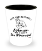 Vice Principal Shotglass Never Underestimate A Woman Who Is Also A Vice Principal Shot Glass