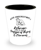 Professor of Business Economics Shotglass Never Underestimate A Woman Who Is Also A Professor of Business Economics Shot Glass