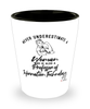 Professor of Information Technology Shotglass Never Underestimate A Woman Who Is Also A Professor of Information Technology Shot Glass