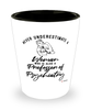 Professor of Psychiatry Shotglass Never Underestimate A Woman Who Is Also A Professor of Psychiatry Shot Glass