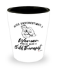 Child Therapist Shotglass Never Underestimate A Woman Who Is Also A Child Therapist Shot Glass