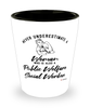 Public Welfare Social Worker Shotglass Never Underestimate A Woman Who Is Also A Public Welfare Social Worker Shot Glass
