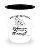 Chemist Shotglass Never Underestimate A Woman Who Is Also A Chemist Shot Glass