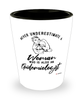 Epidemiologist Shotglass Never Underestimate A Woman Who Is Also An Epidemiologist Shot Glass