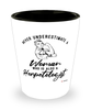 Herpetologist Shotglass Never Underestimate A Woman Who Is Also A Herpetologist Shot Glass