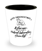 Medical Laboratory Scientist Shotglass Never Underestimate A Woman Who Is Also A Medical Laboratory Scientist Shot Glass