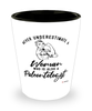 Paleontologist Shotglass Never Underestimate A Woman Who Is Also A Paleontologist Shot Glass
