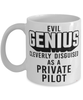 Funny Private Pilot Mug Evil Genius Cleverly Disguised As A Private Pilot Coffee Cup 11oz 15oz White