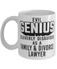 Funny Family Divorce Lawyer Mug Evil Genius Cleverly Disguised As A Family and Divorce Lawyer Coffee Cup 11oz 15oz White