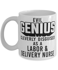 Funny Labor Delivery Nurse Mug Evil Genius Cleverly Disguised As A Labor and Delivery Nurse Coffee Cup 11oz 15oz White