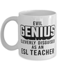 Funny ESL Teacher Mug Evil Genius Cleverly Disguised As An ESL Teacher Coffee Cup 11oz 15oz White