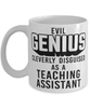 Funny Teaching Assistant Mug Evil Genius Cleverly Disguised As A Teaching Assistant Coffee Cup 11oz 15oz White