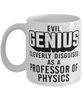 Funny Professor of Physics Mug Evil Genius Cleverly Disguised As A Professor of Physics Coffee Cup 11oz 15oz White