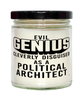 Funny Political Architect Candle Evil Genius Cleverly Disguised As A Political Architect 9oz Vanilla Scented Candles Soy Wax