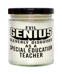 Funny Special Education Teacher Candle Evil Genius Cleverly Disguised As A Special Education Teacher 9oz Vanilla Scented Candles Soy Wax