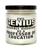 Funny Professor of Education Candle Evil Genius Cleverly Disguised As A Professor of Education 9oz Vanilla Scented Candles Soy Wax