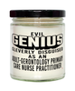 Funny Adult-Gerontology Primary Care Nurse Practitioner Candle Evil Genius Cleverly Disguised As An Adult-Gerontology Primary Care Nurse Practitioner 9oz Vanilla Scented Candles Soy Wax