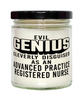 Funny Advanced Practice Registered Nurse Candle Evil Genius Cleverly Disguised As An Advanced Practice Registered Nurse 9oz Vanilla Scented Candles Soy Wax