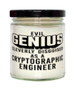 Funny Cryptographic Engineer Candle Evil Genius Cleverly Disguised As A Cryptographic Engineer 9oz Vanilla Scented Candles Soy Wax