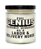 Funny Labor Delivery Nurse Candle Evil Genius Cleverly Disguised As A Labor and Delivery Nurse 9oz Vanilla Scented Candles Soy Wax