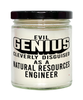 Funny Natural Resources Engineer Candle Evil Genius Cleverly Disguised As A Natural Resources Engineer 9oz Vanilla Scented Candles Soy Wax