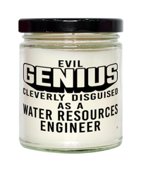 Funny Water Resources Engineer Candle Evil Genius Cleverly Disguised As A Water Resources Engineer 9oz Vanilla Scented Candles Soy Wax