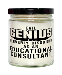 Funny Educational Consultant Candle Evil Genius Cleverly Disguised As An Educational Consultant 9oz Vanilla Scented Candles Soy Wax