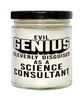 Funny Science Consultant Candle Evil Genius Cleverly Disguised As A Science Consultant 9oz Vanilla Scented Candles Soy Wax