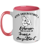 Image Consultant Mug Never Underestimate A Woman Who Is Also An Image Consultant Coffee Cup Two Tone Pink 11oz