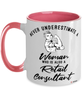 Retail Consultant Mug Never Underestimate A Woman Who Is Also A Retail Consultant Coffee Cup Two Tone Pink 11oz