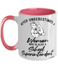 School Superintendent Mug Never Underestimate A Woman Who Is Also A School Superintendent Coffee Cup Two Tone Pink 11oz