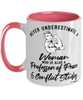 Professor of Peace Conflict Studies Mug Never Underestimate A Woman Who Is Also A Professor of Peace Conflict Studies Coffee Cup Two Tone Pink 11oz