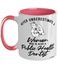 Public Health Dentist Mug Never Underestimate A Woman Who Is Also A Public Health Dentist Coffee Cup Two Tone Pink 11oz