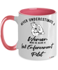Law Enforcement Pilot Mug Never Underestimate A Woman Who Is Also A Law Enforcement Pilot Coffee Cup Two Tone Pink 11oz