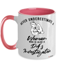 DAs Investigator Mug Never Underestimate A Woman Who Is Also A District Attorneys Investigator Coffee Cup Two Tone Pink 11oz