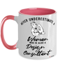 Design Consultant Mug Never Underestimate A Woman Who Is Also A Design Consultant Coffee Cup Two Tone Pink 11oz