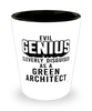 Funny Green Architect Shot Glass Evil Genius Cleverly Disguised As A Green Architect