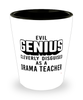 Funny Drama Teacher Shot Glass Evil Genius Cleverly Disguised As A Drama Teacher