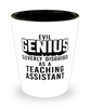 Funny Teaching Assistant Shot Glass Evil Genius Cleverly Disguised As A Teaching Assistant