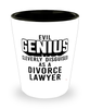 Funny Divorce Lawyer Shot Glass Evil Genius Cleverly Disguised As A Divorce Lawyer