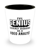 Funny Video Analyst Shot Glass Evil Genius Cleverly Disguised As A Video Analyst