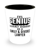 Funny Family Divorce Lawyer Shot Glass Evil Genius Cleverly Disguised As A Family and Divorce Lawyer