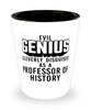 Funny Professor of History Shot Glass Evil Genius Cleverly Disguised As A Professor of History
