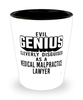 Funny Medical Malpractice Lawyer Shot Glass Evil Genius Cleverly Disguised As A Medical Malpractice Lawyer